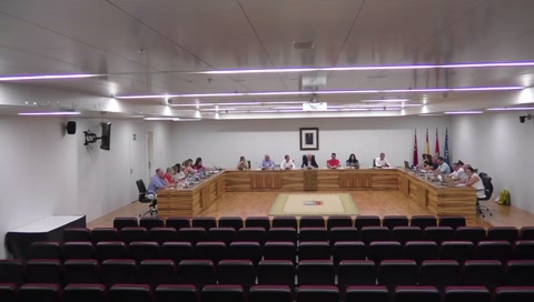 PLENO ORDINARIO 2025-08-29
