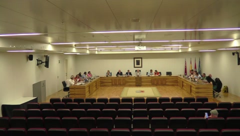 PLENO ORDINARIO 2025-09-25